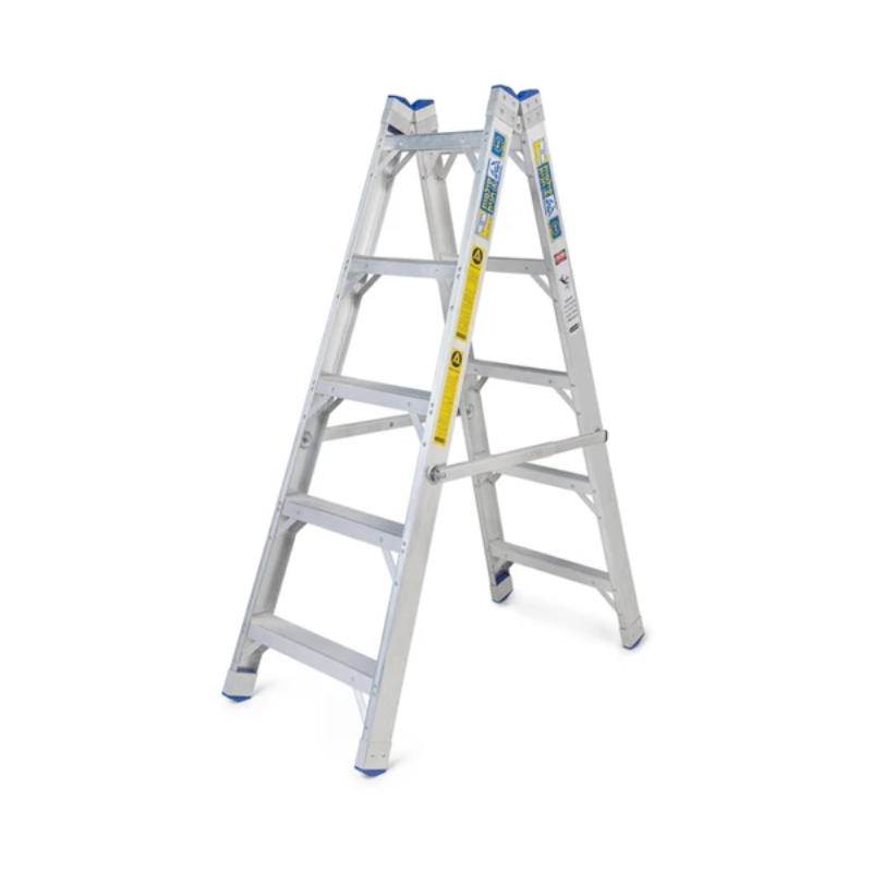 ������ ���������