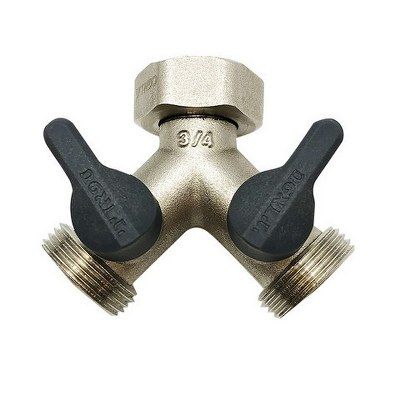 ���� �����