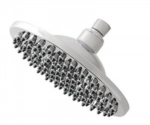 ��� ����� ���� /���� 8, �����