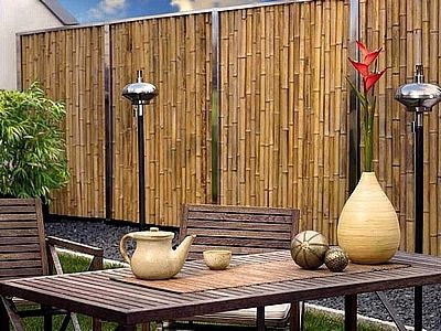 bambus heppenheim Heiliger Bambus Sunset Boulevard® - Nandina domestica sunset boulevard ® main image 0